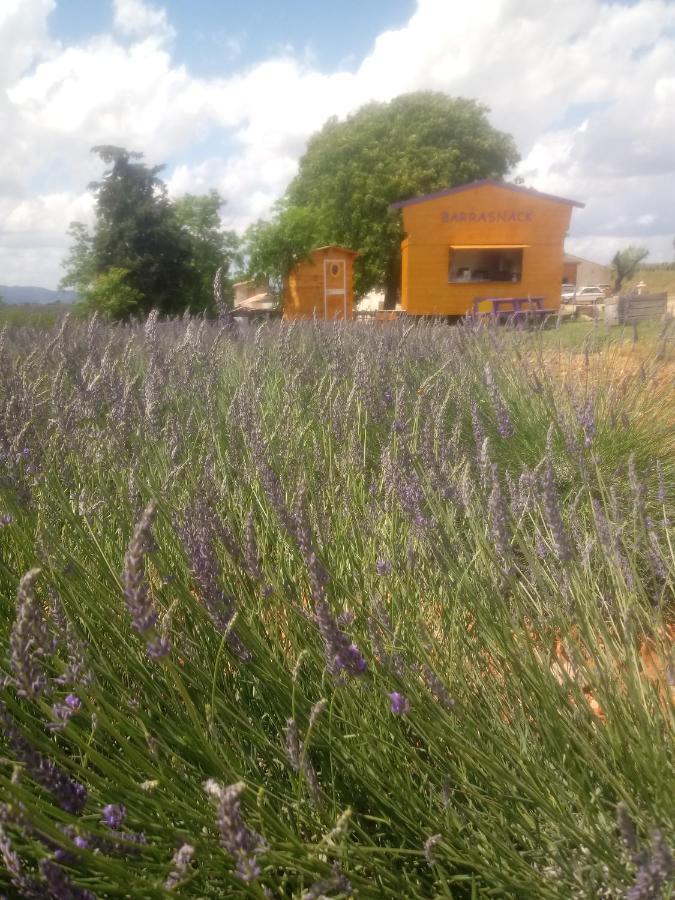 Chambre A La Ferme Au Milieu Des Lavandes Valensole Exteriér fotografie