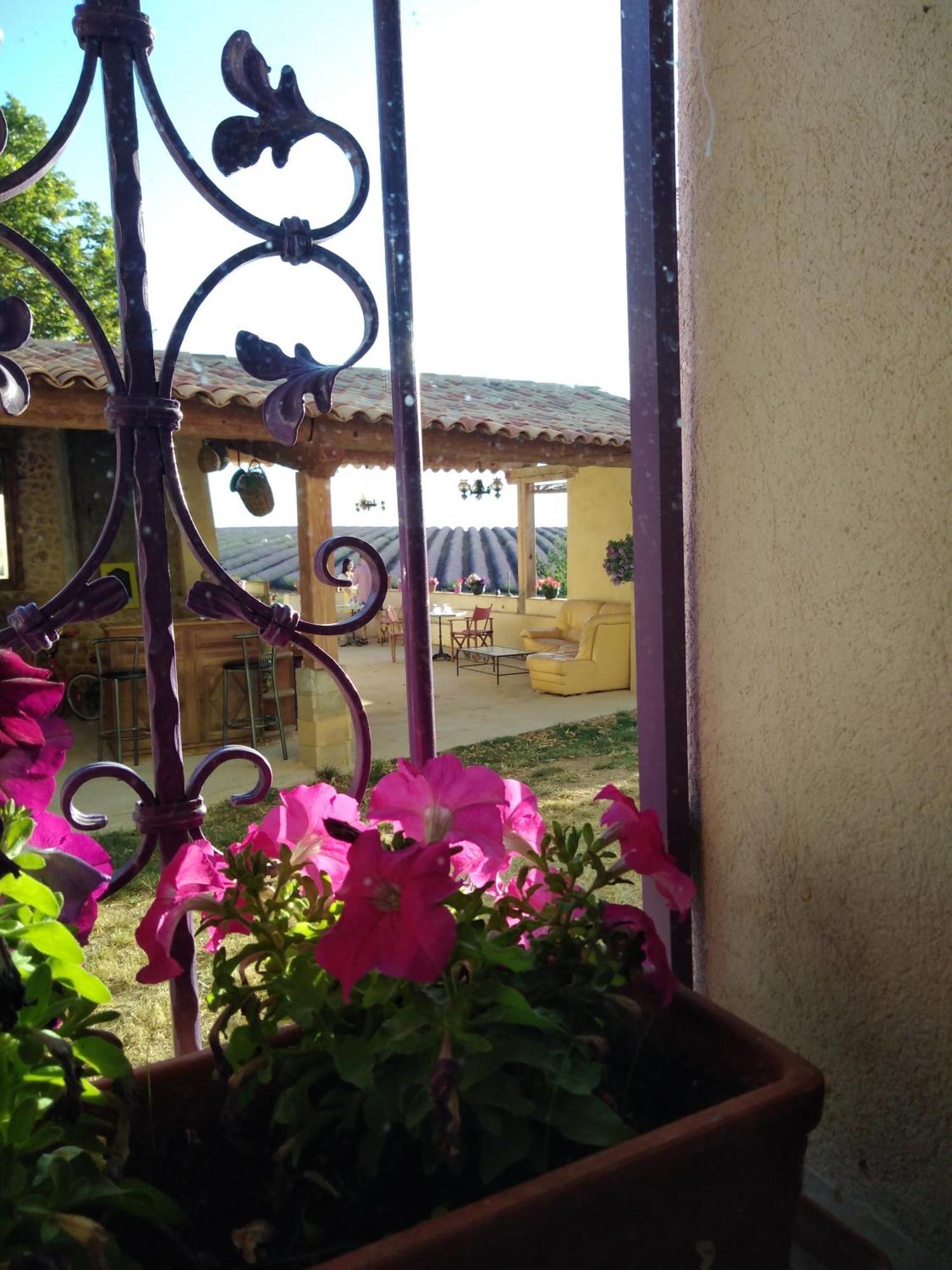 Chambre A La Ferme Au Milieu Des Lavandes Valensole Exteriér fotografie